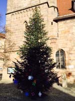 10 Meter Edeltanne in Fürth 10 Meter Edeltanne in Fürth