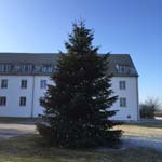 12 Meter Edeltanne in Herzogenaurach 12 Meter Edeltanne in Herzogenaurach